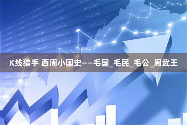 K线猎手 西周小国史——毛国_毛民_毛公_周武王