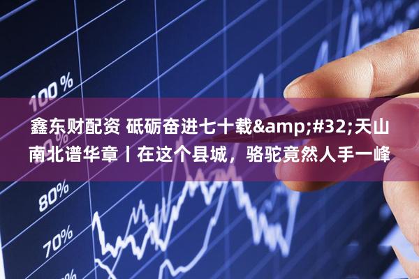 鑫东财配资 砥砺奋进七十载&#32;天山南北谱华章丨在这个县城，骆驼竟然人手一峰