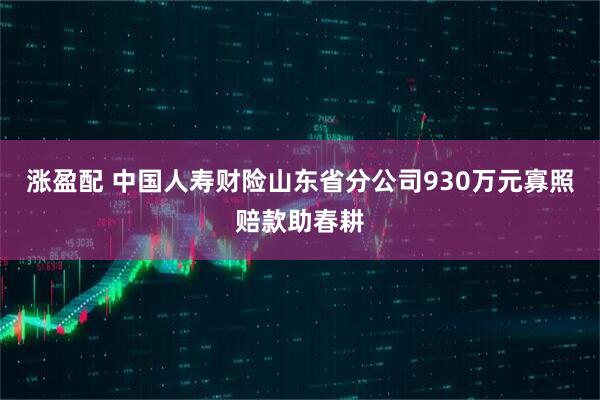 涨盈配 中国人寿财险山东省分公司930万元寡照赔款助春耕