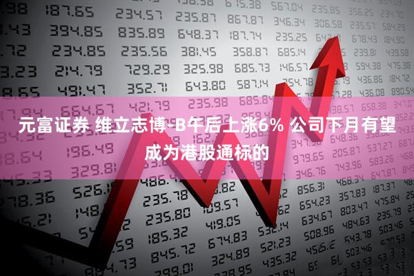 元富证券 维立志博-B午后上涨6% 公司下月有望成为港股通标的